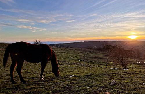 Podere Casagrande - Foto 20