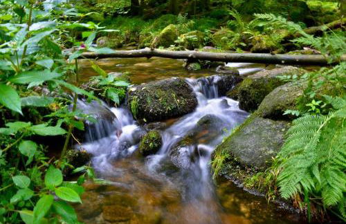 Black Forest Retreat Bad Herrenalb - Foto 32