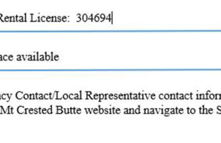 Studio Efficiency Unit with Balcony over Mountaineer Square condo - Foto 2