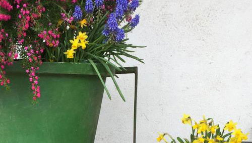 Ferien- Und Winzerhof Simon - Foto 5