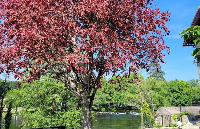 CASA DO ENGENHO BRAGA - Foto 27