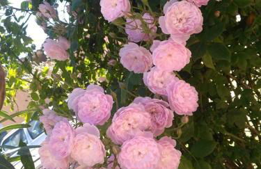 Villa Regina Accommodation - Foto 32