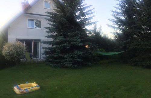 Agro-szyszynka - Foto 29