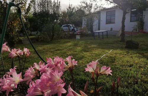 CASA RURAL LIMÓN Y SOL - Foto 33