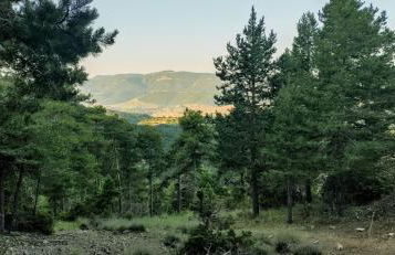 Alojamiento Rural Los Gancheros - Foto 37