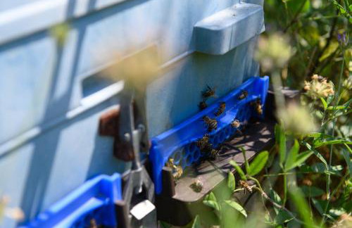 Villa Rosa - Foto 20