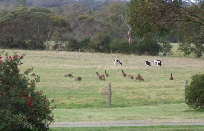 Woody Grange Chalets - Foto 13