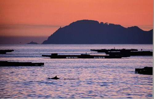 A casa de Xues - Foto 26