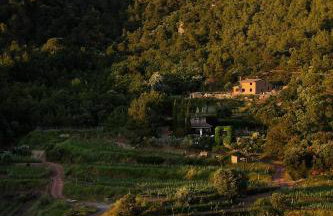 Foïna dels Fontanals - Foto 3
