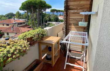 Casa Gabri - Luce, Mare, Apuane, AC, Parking - Foto 34