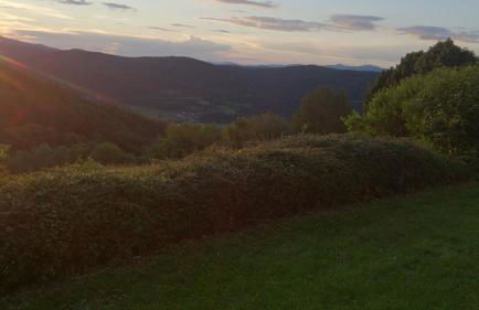 Ferienapartment 38 Sonnenwald - Foto 75