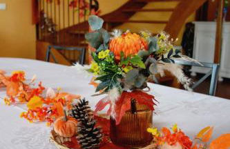 Les oiseaux - Foto 12