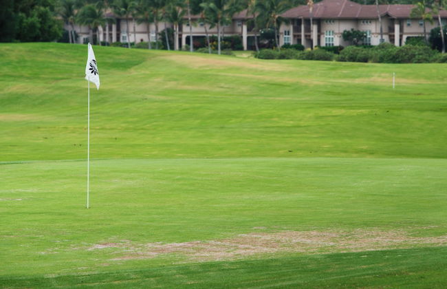 Waikoloa Colony Villas - Foto 48
