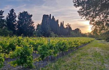 Les jardins du Canal - Foto 8