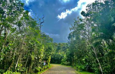 Maresias flat mata azul 2 - Foto 67