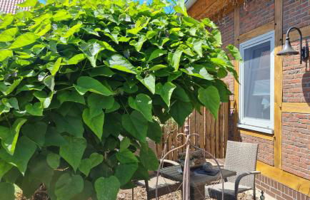 Mutti 's Landhof - Foto 32