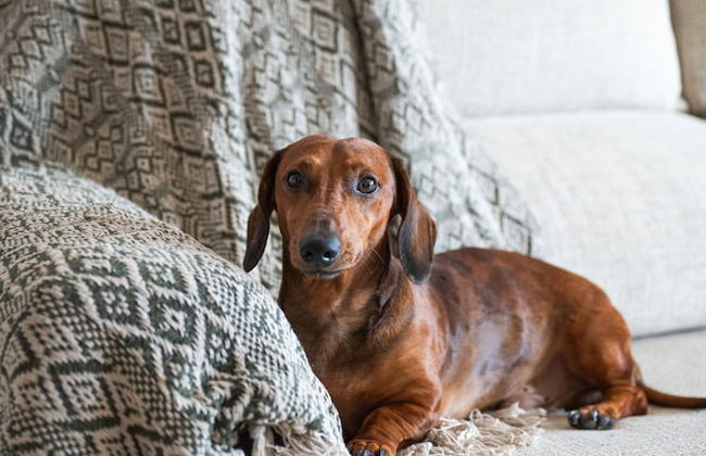 Brisas de G Imar in G Imar - Foto 51