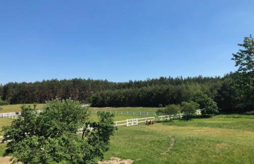 Gutshof Dragefeld - Foto 27