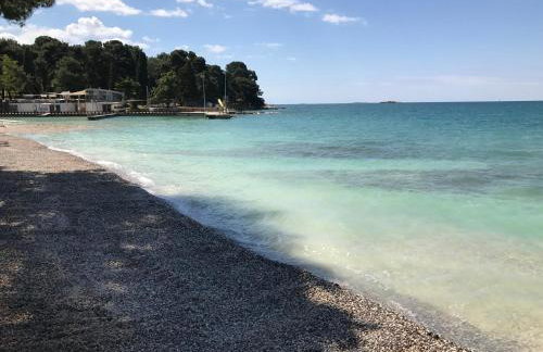 Apartment Bianca - Photo 24