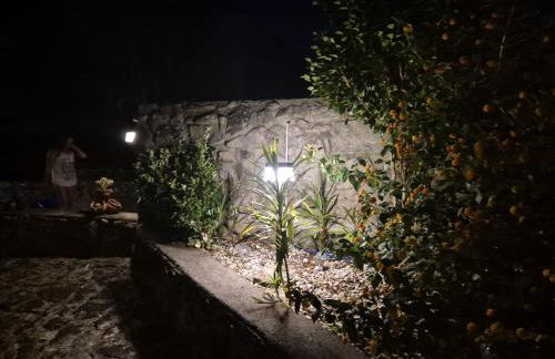 Quinta da Abelheira - Foto 39