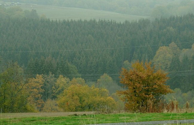 Chalet in Gerolstein Near Forest Trails - Foto 24