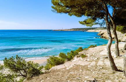 2 Pièces 45m2, Calme, Confort, Mer à 200m, Jardin, Terrasse, Piscine - Foto 33