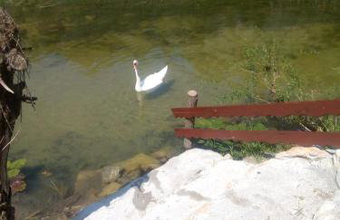 VILLA KORANA - Foto 63