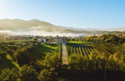 Fattoria Mantellassi - Photo 43