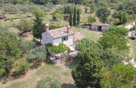 Cottage Casa Vinela - Foto 30