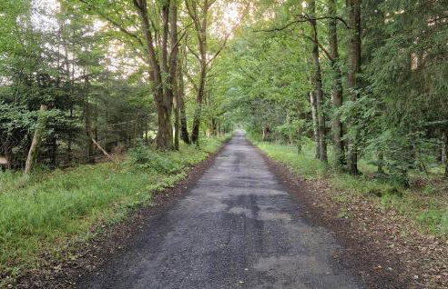 Cozy Home In Stara Dobrzyca With Wifi - Foto 24