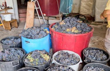 Quinta da Portela - Foto 6