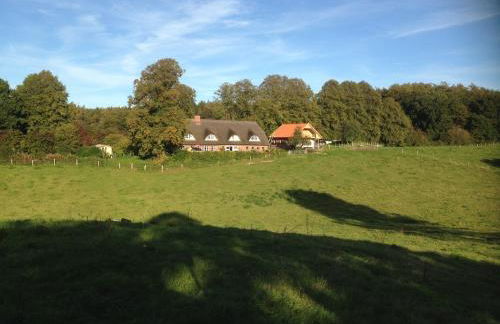 Hoheluft am Wittensee Apt 1 - Foto 16