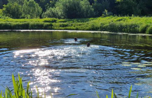 Królewska Sielanka - Foto 24