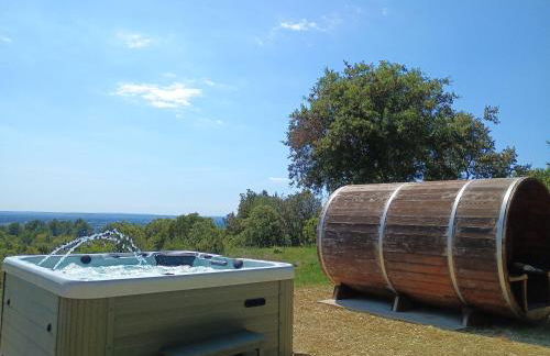 Gîte Lavande vue Luberon 33 hectares piscine Spa Sauna au cœur de Provence - Foto 7