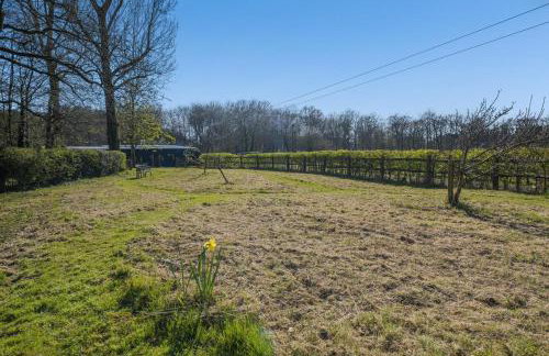 3 Bed in Staplecross oc-rh1162 - Photo 30