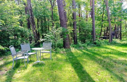 Wald und Wohlsein - Foto 38