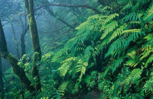 NEW TURQUESA Centro Sta Cruz, wifi&gym - Foto 35