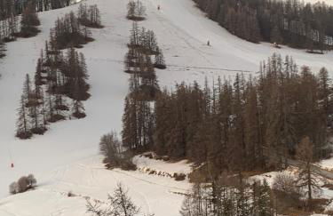 Val d'Azur Plein sud Face aux Pistes - Foto 15