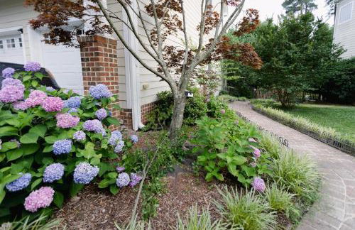 Spacious Basement in RDU RTP CARY area by JENDI - Foto 22