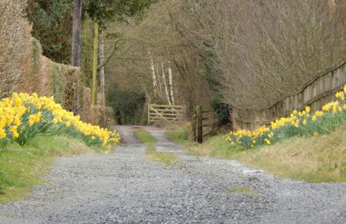 Alltybrain Farm Cottages and B&B - Foto 5