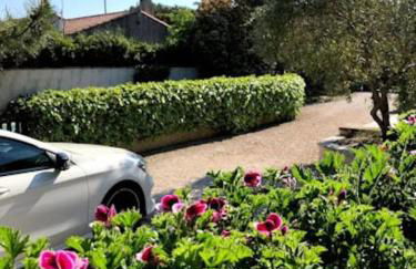 La Pitchoune : Gîte aux pieds des Alpilles - Foto 24