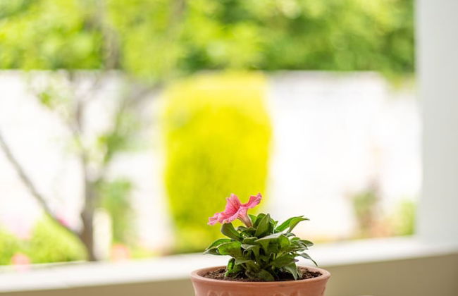 Hotel Aphrodite - Foto 11