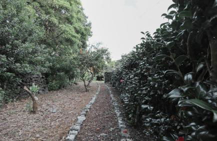 Casa Cor de Rosa - Photo 34