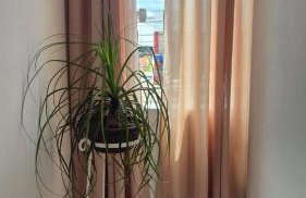 Refúgio da Lagoa de Araruama - AP 202 - Foto 15