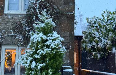 Boho Chic Cottage & Wild Garden nr Soho Farmhouse - Foto 7