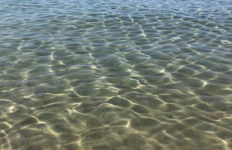 Residence Le Palme - Appartamenti sul mare - Spiaggia tra Palinuro e Caprioli - Foto 17