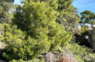 Bienvenue chez Sandrine - Foto 21