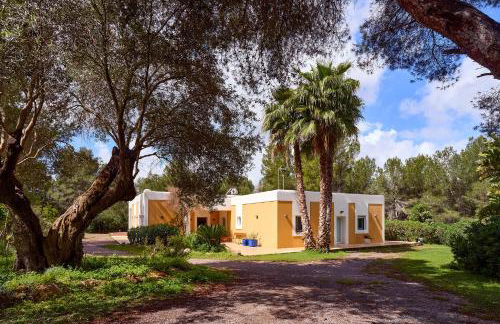 CAN COLL DES COCONS BAREFOOT HOUSE 5MIN FROM PACHA - Foto 34