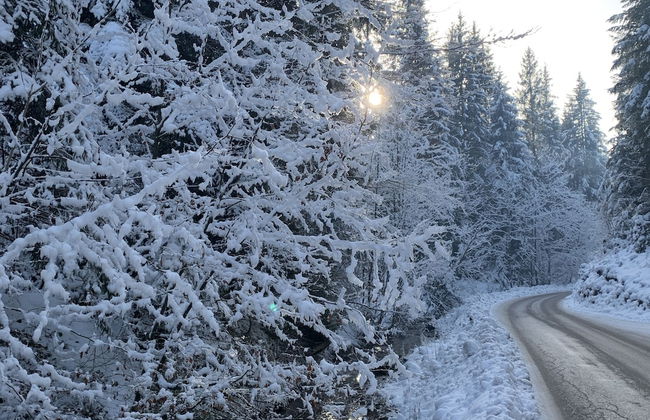 Quartier39 - Foto 42