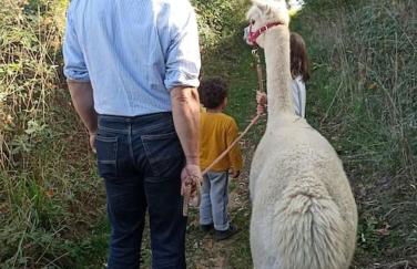 Gite 3 chambres, 2 à 10 pers et jardin clôturé - Foto 6